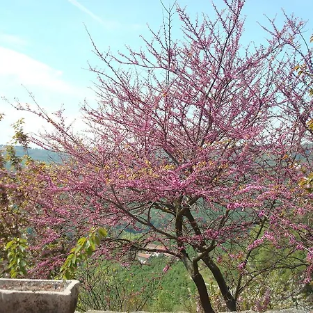 Cascina Bricco Летний дом